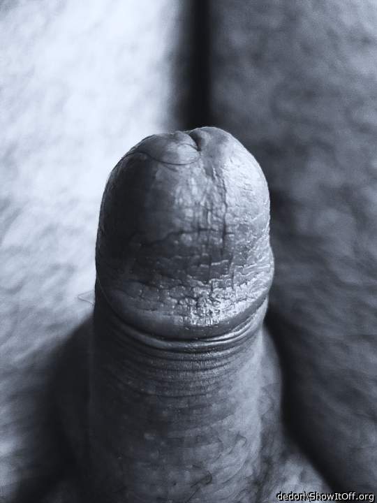 Adult image from dedon