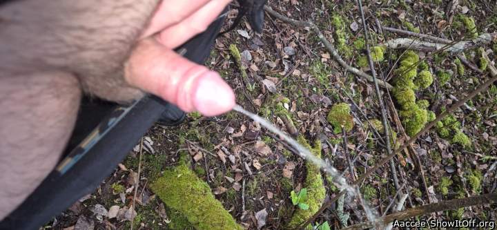 Adult image from Aaccee