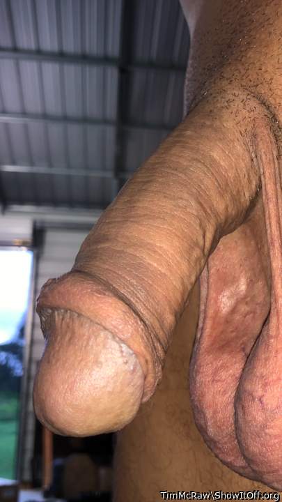 Adult image from TimMcRaw
