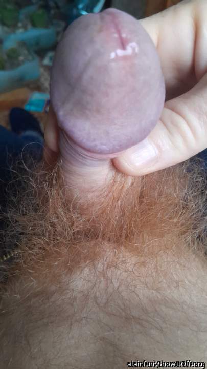 Adult image from alainfun