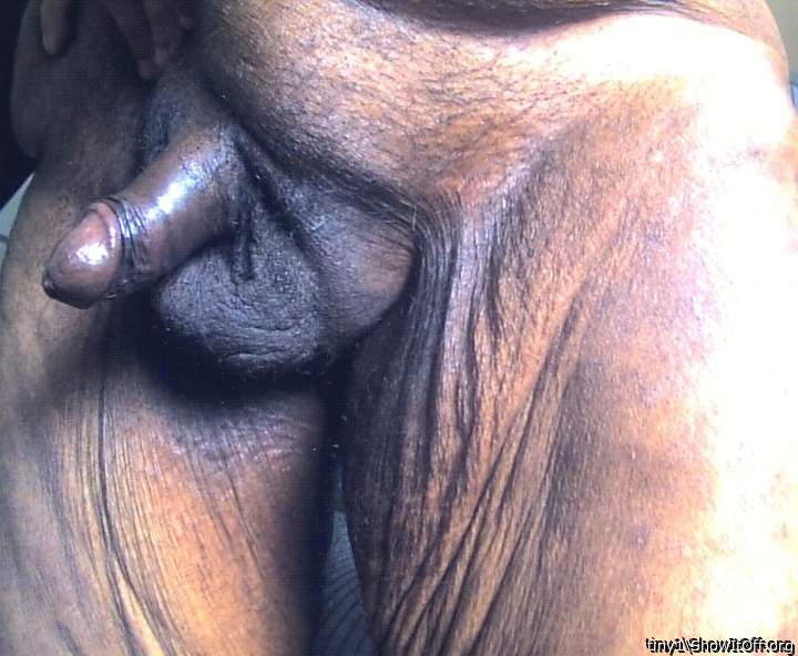 Adult image from tiny1