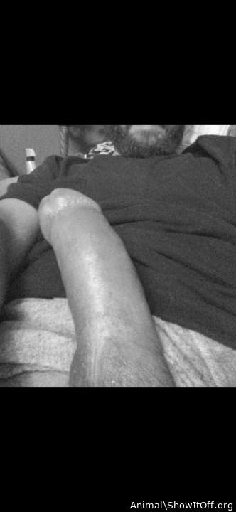 Adult image from Animal