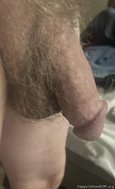 Adult image from Pappy