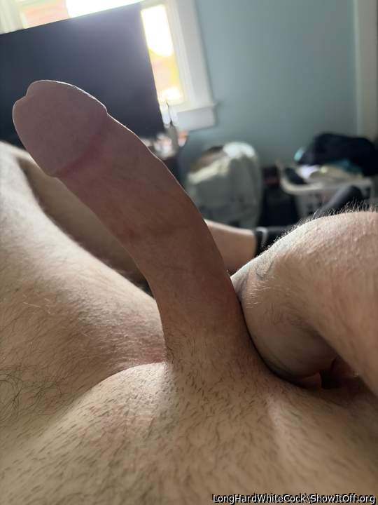 Adult image from LongHardWhiteCock