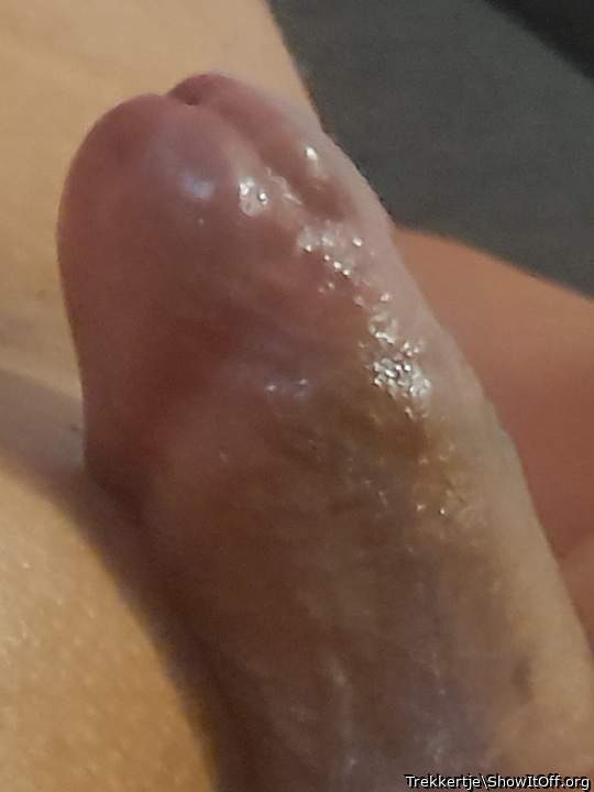 Adult image from Trekkertje