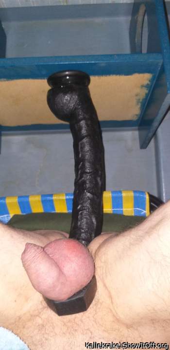 Adult image from Kallekrake