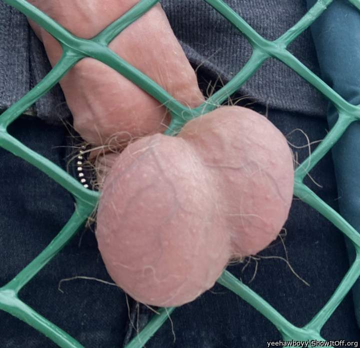 Got my fat nuts stuck in the fence again &#128517;