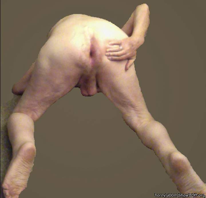 Adult image from hornylabtm