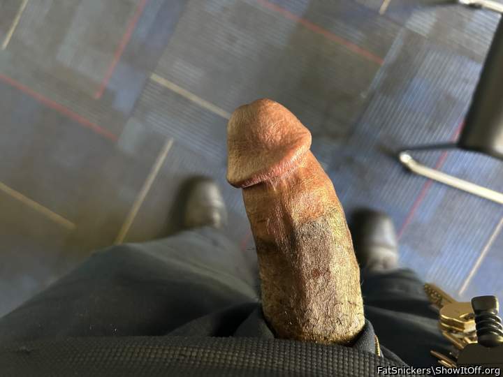 Adult image from FatSnickers