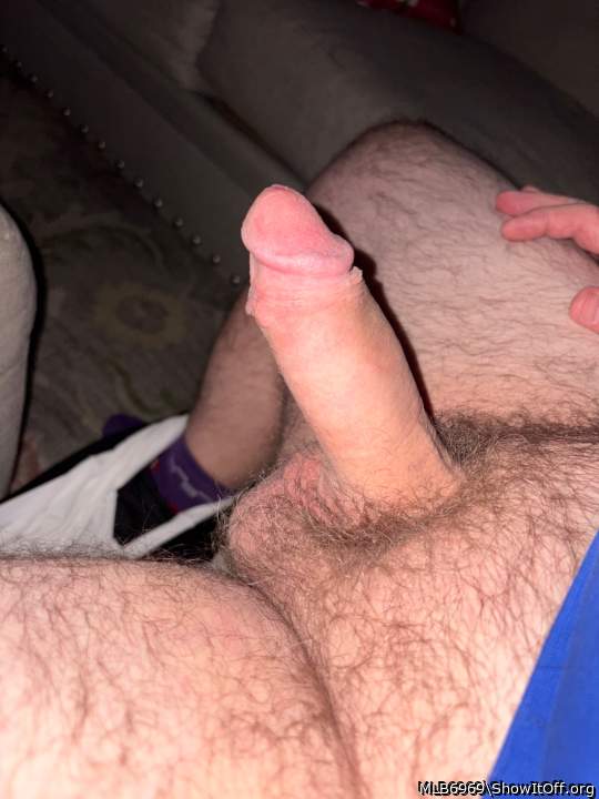 Adult image from MLB6969