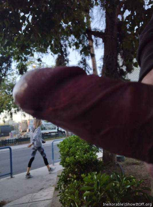 I wanna stretch her with my big cock in public!