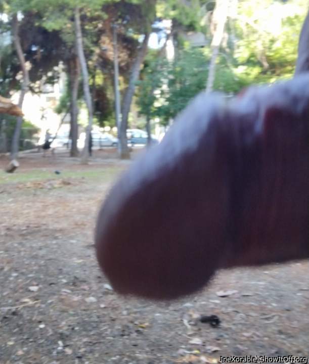Public masturbation