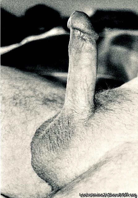 Hard Cock, Tight Balls