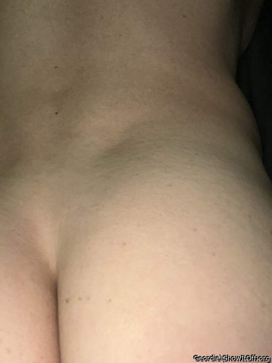 Adult image from Geordie