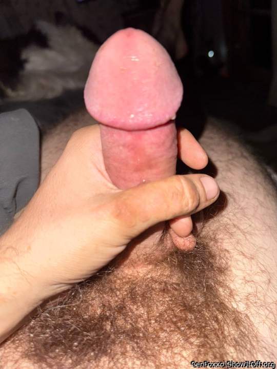 Adult image from CenFoxxo