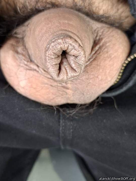 Adult image from alanck