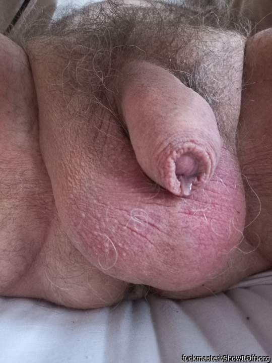 goorgeous heavy balls and tasty dripping foreskin! How I wou