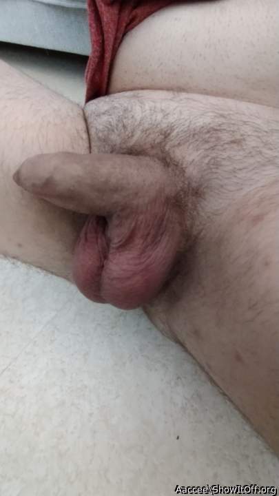 Tasty-looking cock and balls, nicely trimmed pubes!