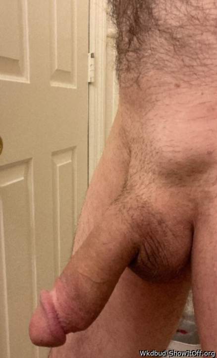 Adult image from Wkdbud