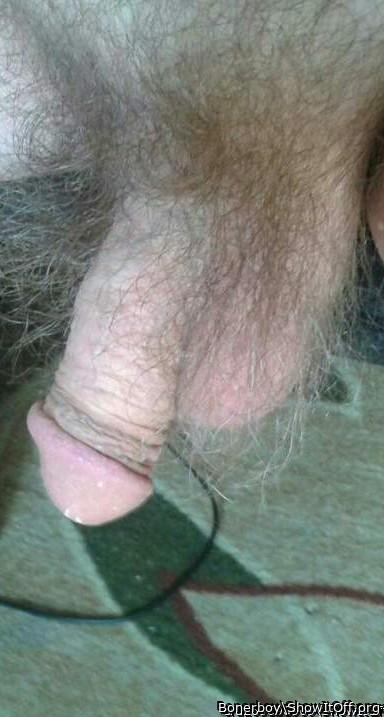 Woah! Now that a hairy package I�d enjoy. 