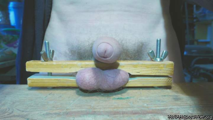 Adult image from 12HP21