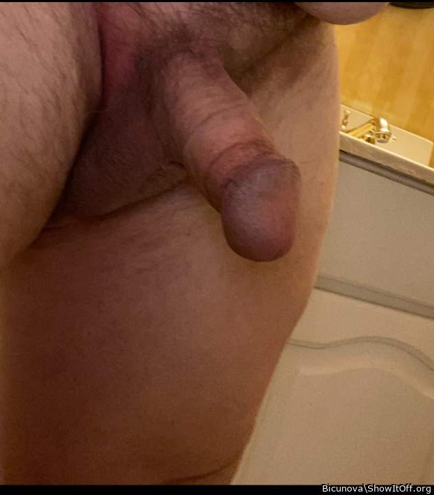 Adult image from Bicunova