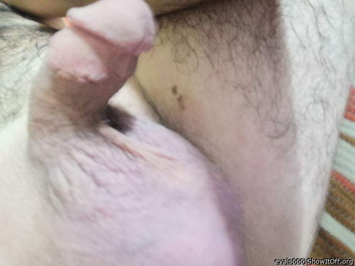 Adult image from evals666