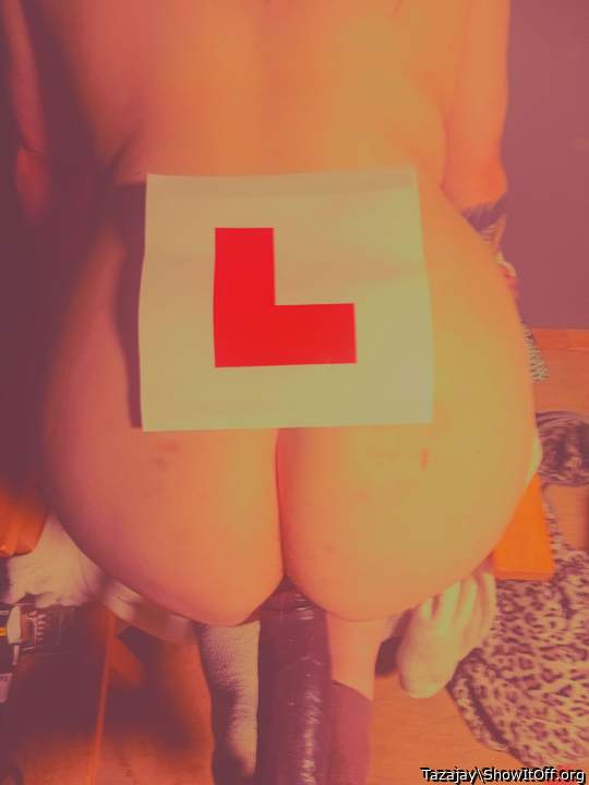Adult image from Tazajay