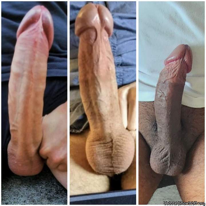 Have these 3 cocks all been inside you?