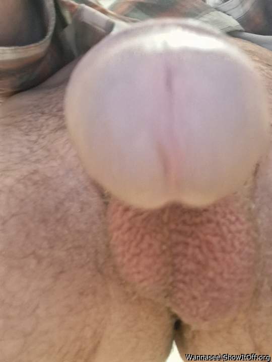 Adult image from Wannasee