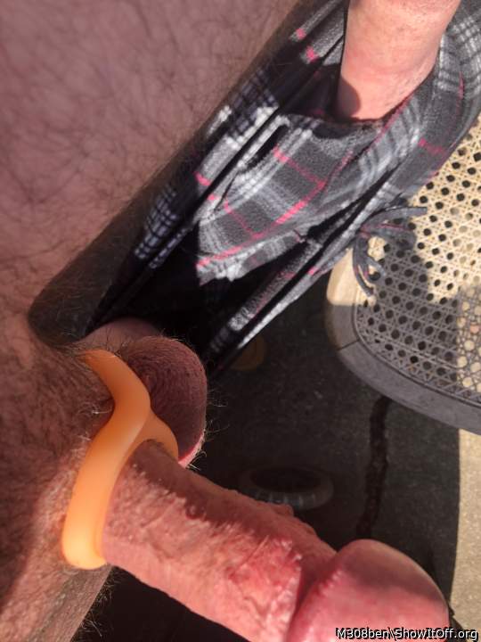 Adult image from M308ben