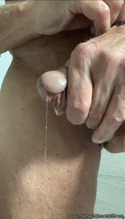 Adult image from Untamed