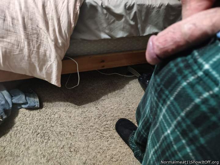 Adult image from Normalmeat1