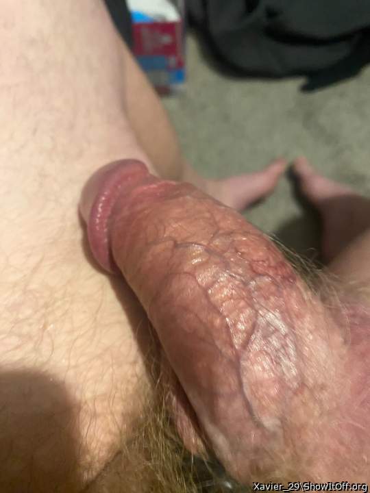 Adult image from Xavier_29