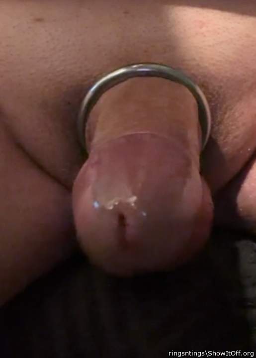 Adult image from ringsntings