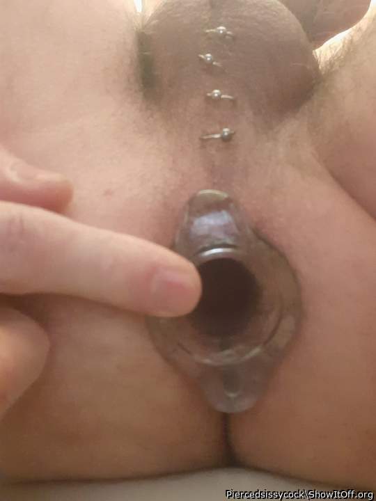 Adult image from Piercedsissycock