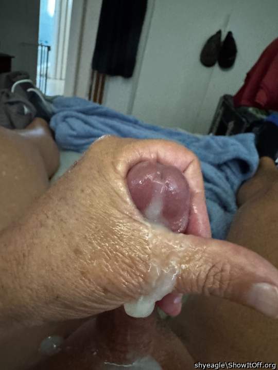 Adult image from shyeagle