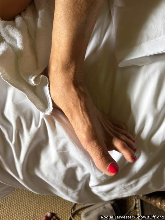 Adult image from RogueHarvester