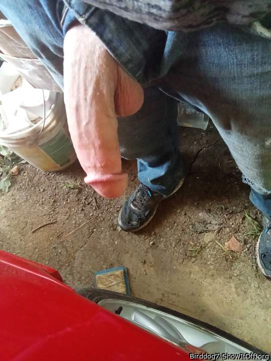 Adult image from Birddog7