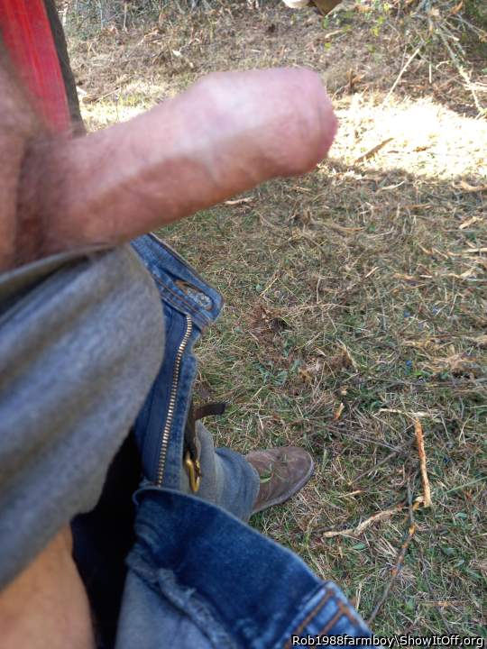 Adult image from Rob1988farmboy