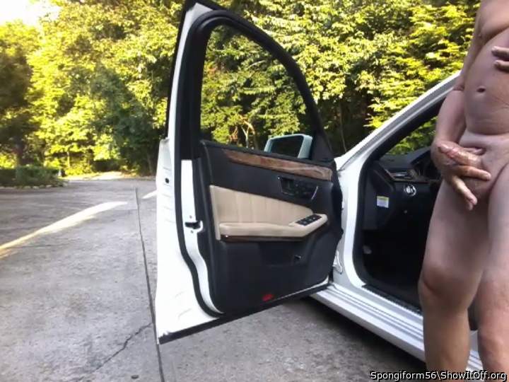 Adult image from Spongiform56