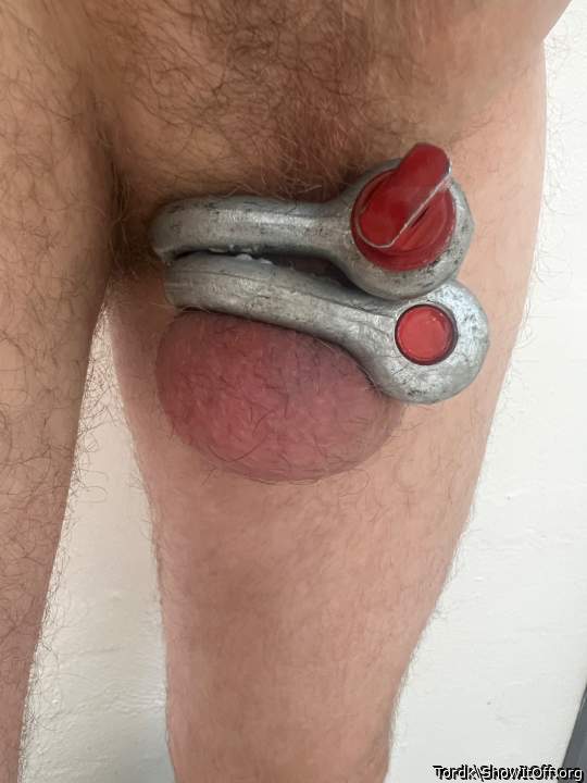 Adult image from Tordk