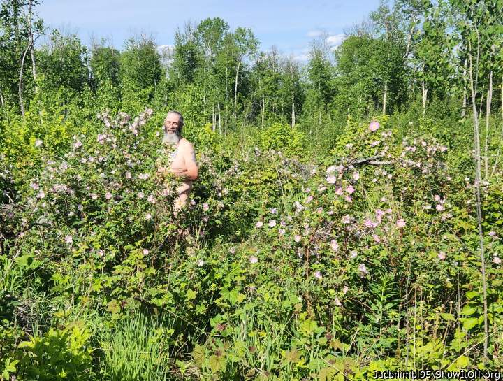 Walking in roses, watching for thorns