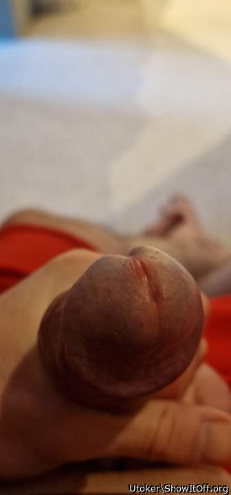 Adult image from Utoker