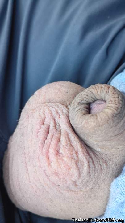 Adult image from Tnelson88