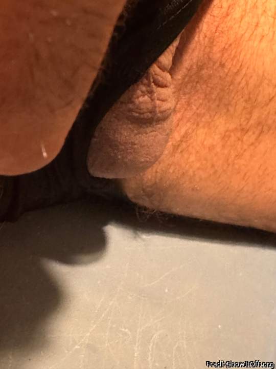 Adult image from Fradi