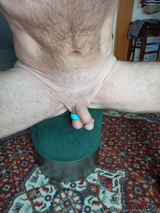 Adult image from Woodpecker