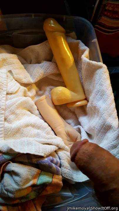 Adult image from jmikemoya