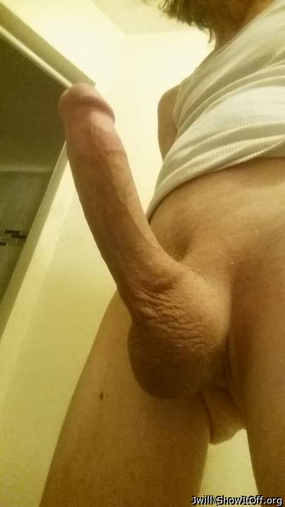 Superb cock, great hard on.