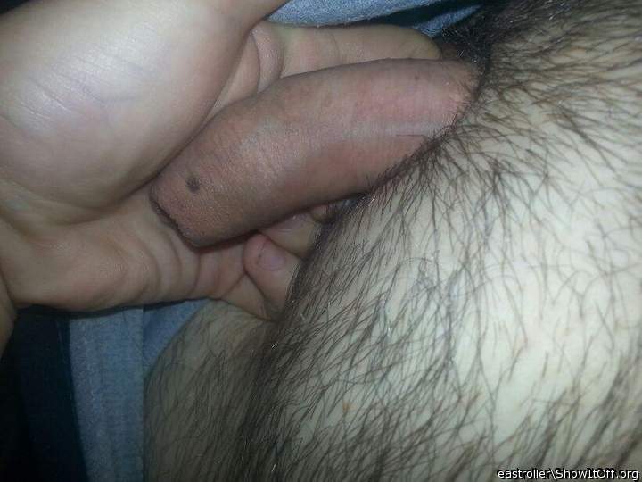 Adult image from *Humpy_Rugmuncher